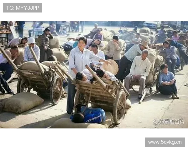 刘母醉酒六回忆录：从艰辛岁月到商业帝国的辉煌崛起