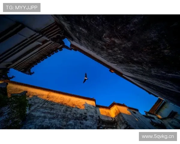 企业家摄影协会：探索商业视野与艺术镜头的完美融合